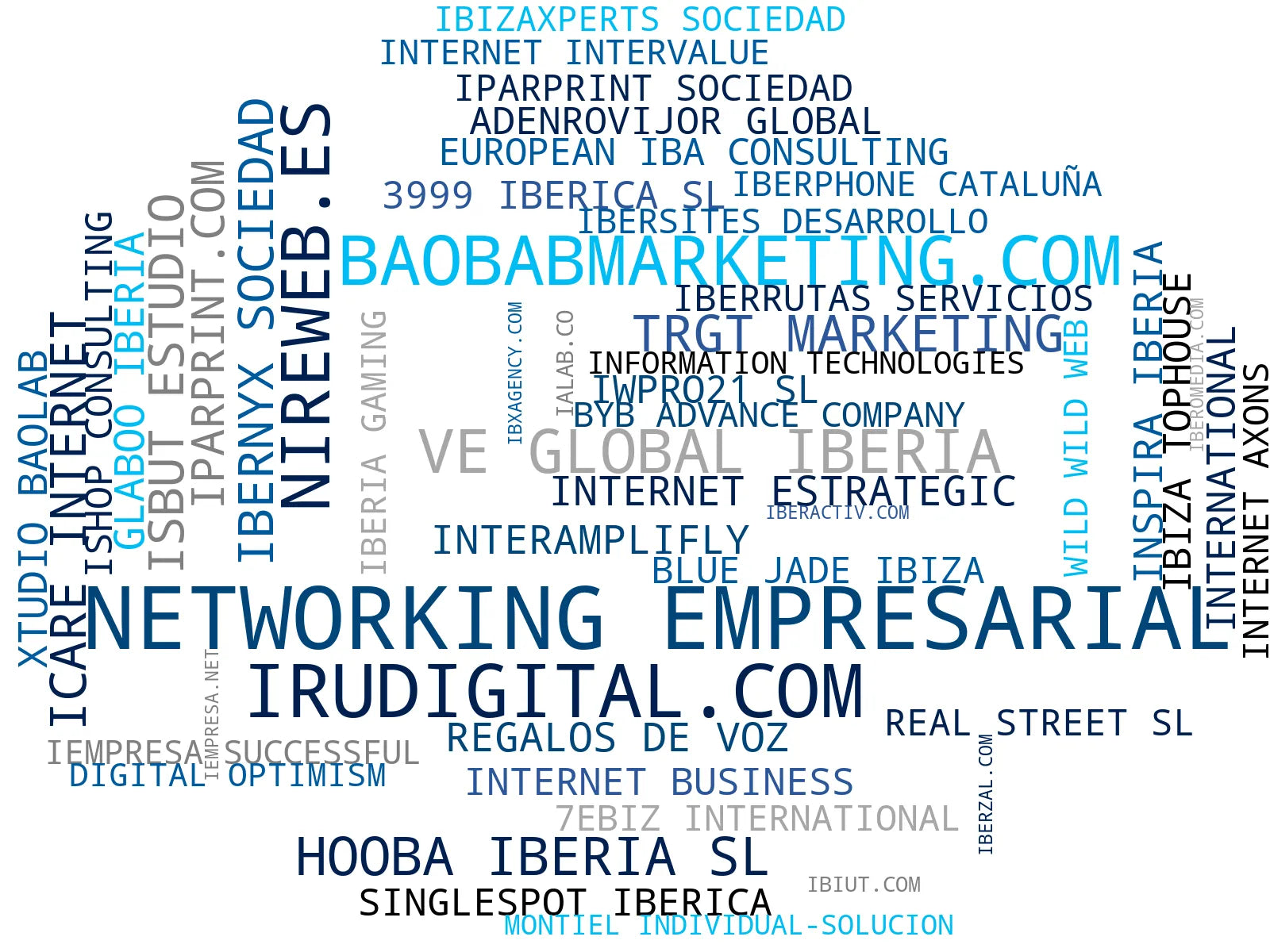 empresas mas grandes del nicho diseño web profesional, e-commerce multicanal, optimización SEO local