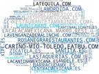 empresas mas grandes del nicho comida mexicana, nachos caseros, salsas picantes