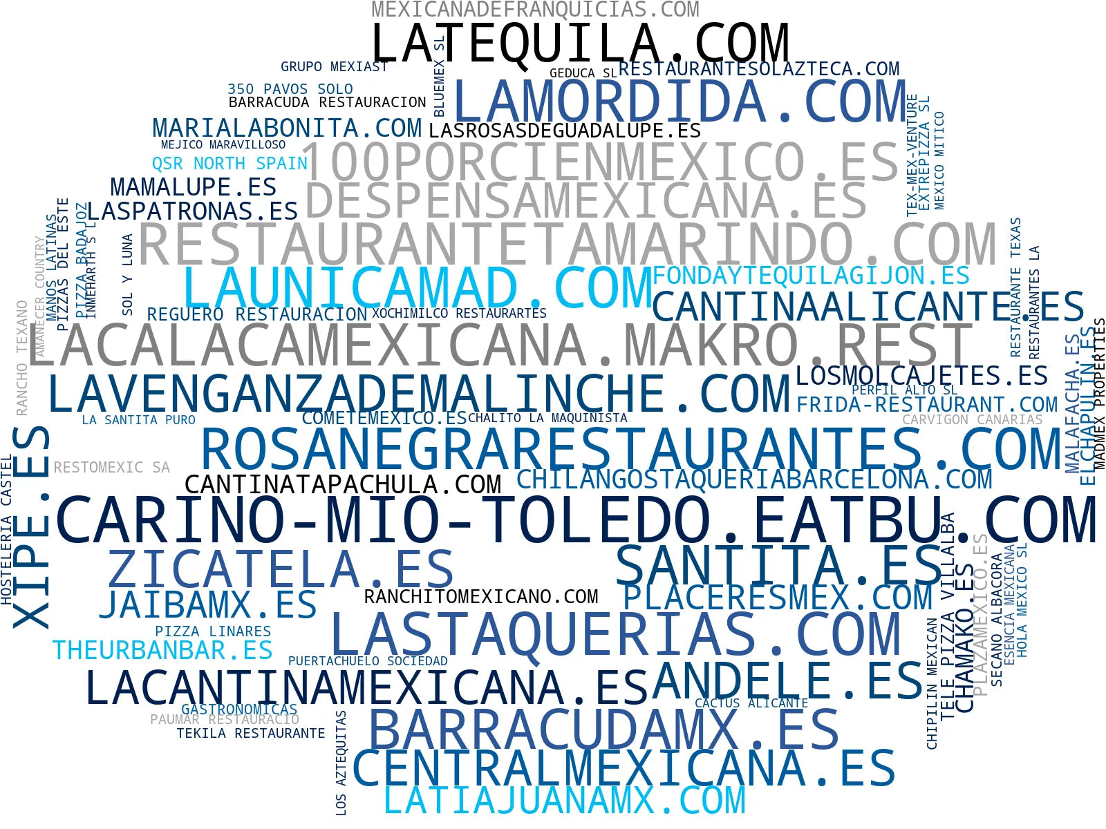 empresas mas grandes del nicho comida mexicana, nachos caseros, salsas picantes