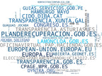 top empresas españa rubro servicios públicos, acceso a información, legislación nacional