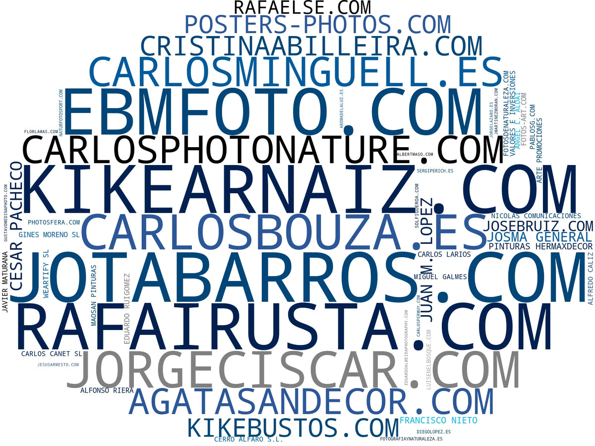 empresas mas grandes del nicho fotografía artística, fotografía documental, exposiciones fotográficas