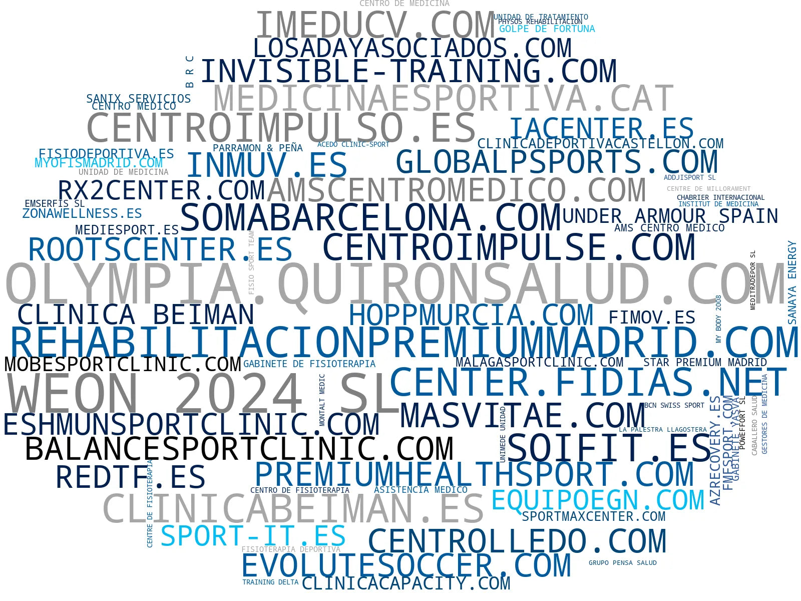 empresas mas grandes del nicho entrenamiento personal, readaptación deportiva, kinesiología deportiva
