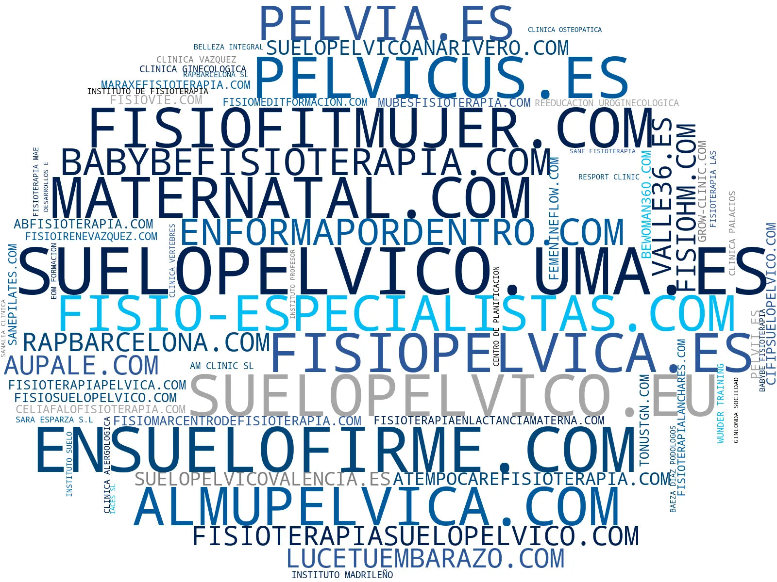top empresas del rubro fisioterapia pélvica, pilates terapéutico, clases hipopresivos