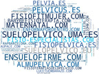 nube de conceptos fisioterapia suelo pélvico, rehabilitación pélvica, terapia manual