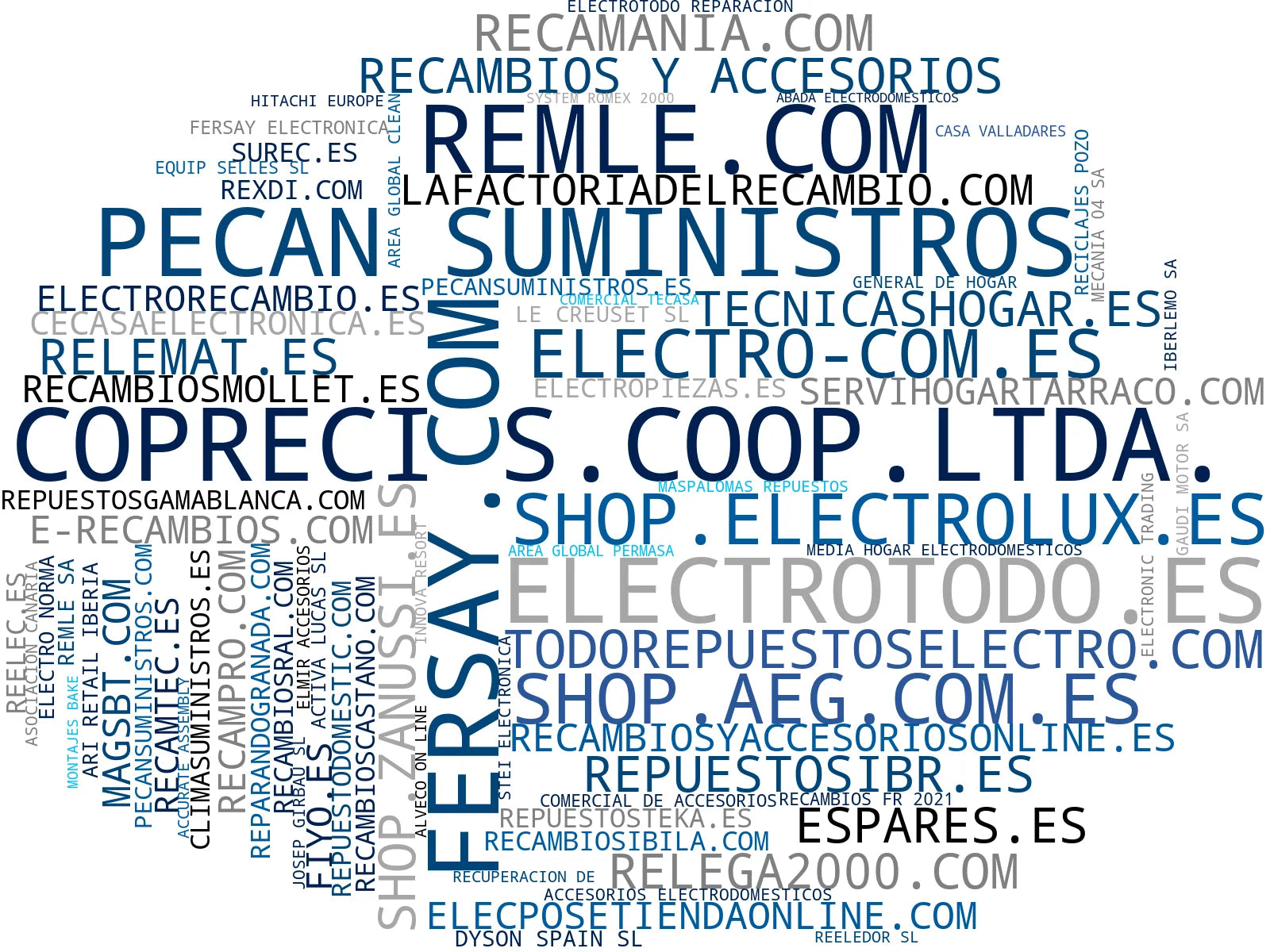 top competidores del nicho recambios electrodomésticos, piezas repuesto lavadora, repuestos originales