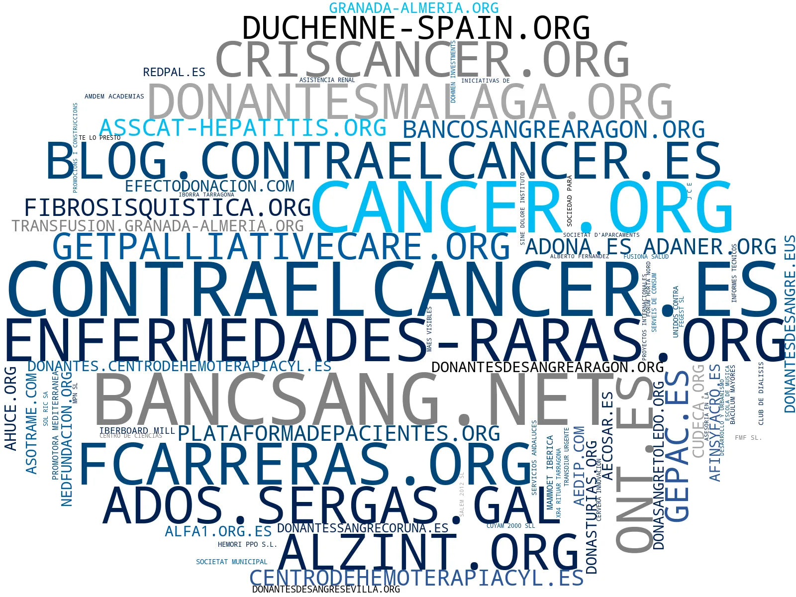 wordcloud de mercado donación plasma, grupos de apoyo, recursos educativos salud