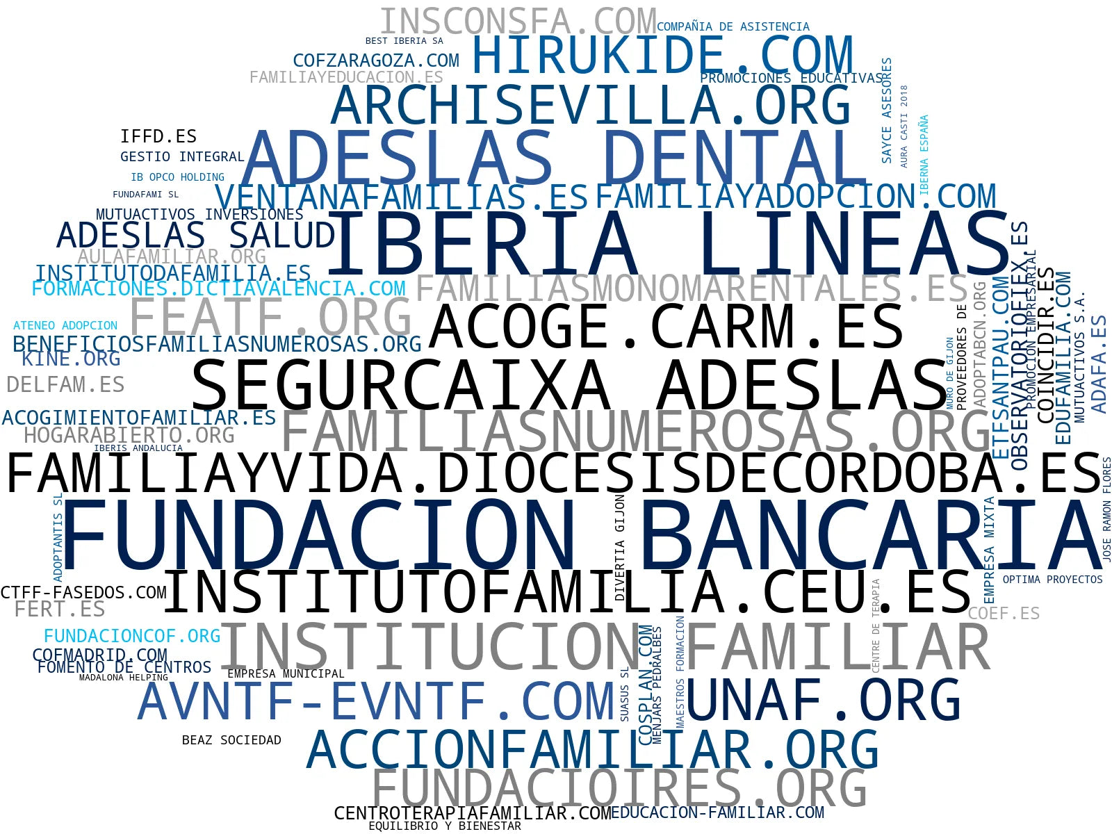 nube de conceptos orientación familiar, coaching familiar, talleres constelaciones familiares