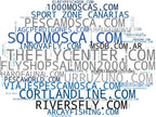 top competidores del nicho cañas de mosca, cursos de pesca, material de atado