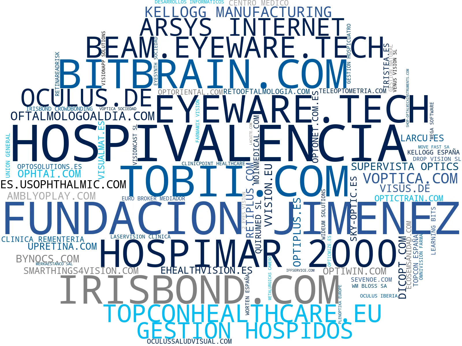 empresas mas grandes del nicho software terapia visual, cámara fondo ojo, soluciones teleoftalmología